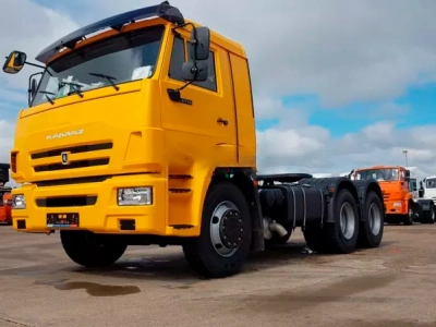 КАМАЗ 65116-6010-48